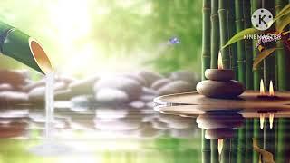 Musique Relaxante Musique pour dormir son de l'eau Relaxing Music