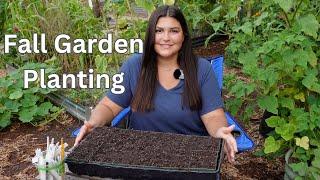 Planting my FALL GARDEN | Seed starting fall crops