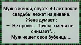 Муж с Женой Лежат На Диване! Сборник Свежих Анекдотов! Юмор!