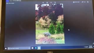 Windows 10 Photo Editor Quick & Easy Tutorial