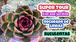 SUPER TOUR EM UM JARDIM RECHEADO DE SUCULENTAS LINDAS