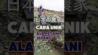 Ide kreatif ala petani jepang 日本の農家 #japan #farming #agriculture #agrotek #pertanian #perkebunan