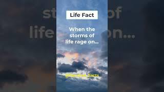 Life facts #shorts #fact
