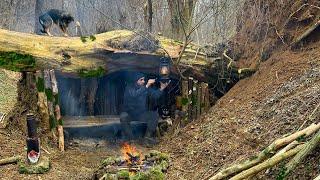 Building a secret survival shelter under a fallen tree | Bushcraft Skills