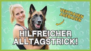 Genialer Alltagstrick! In den Arm springen für große Hunde