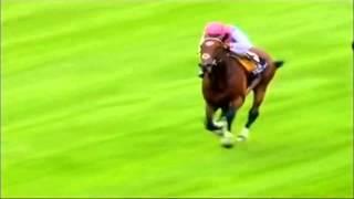 A Tribute To Frankel {DNA}