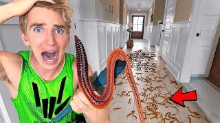 We Found WORMS In Our Beach House!