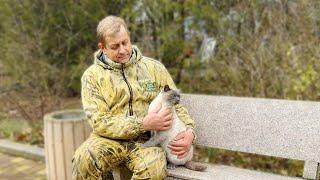 УКРАЛИ ЛЮБИМОГО КОТЕНКА Олега Алексеевича! Не всем котятам нужны хозяева! Некоторые живут в Тайгане!