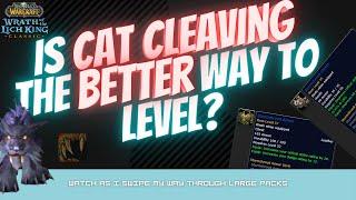 New Druid Leveling Strat - Cat Cleave - Wrath Classic