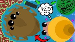 SNAIL KILLS GIANT SPIDER MOPE.IO!! BRUTAL TROLLING KILLS / DESTROYING ALL ANIMALS (Mope.io Gameplay)