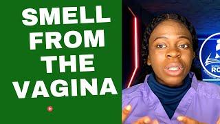 7 types of smell from the vagina and meaning/Why does my vagina smell/What causes vagina smell