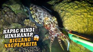 NASA HARAP KO NA PALA  | EPISODE 160 | NIGHT SPEARFISHING PHILIPPINES  | Drin's Adventure