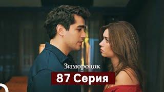 Зимородок 87 Cерия (Русский дубляж)