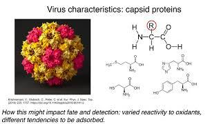 Recent Advancements in Virus Detection and Monitoring