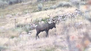 Utah Elk Hunt 2018 Broadmouth Canyon Ranch Slideshow