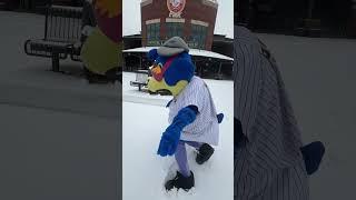 Happy Snow Day from Boomer! #mascot #trentonthunder #boomer #snowangels #snow #newjersey