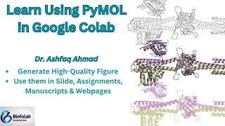 How to Use PyMOL for figure generation in Google Colab?