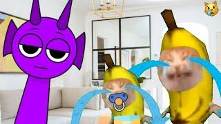 BANANA CAT BANANA CATS MET SPRUNKI  / 10 MINUTES / HAPPY AND CRY VIDEOS 62 #catmemes #bananacat