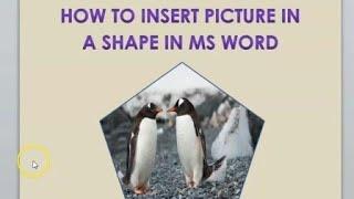 MS Word Tutorial - Insert picture into a shape in MS Word #howto