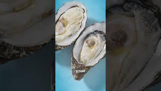 How Do Oysters Make Pearls? 