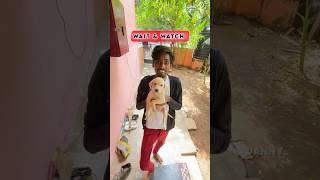 Akka Reaction For Our New PUPPY | Dannies Instinct | #dog #madurai #doglover #tamil