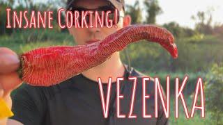 Vezenka tastes like candy!! | Pepper Review