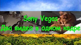 Sony Vegas. Два видео в одном кадре. Отображение двух видео одновременно.