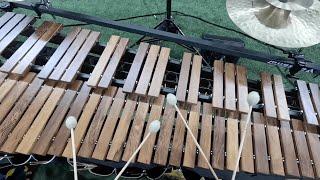 Blue Devils 2023 - THE CUTOUTS - Center Marimba Headcam - Christopher Nott