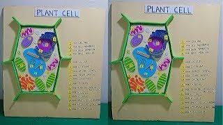 Plant Cell Model For Students| Plant Cell Model 3D Project| School Project For Students| The4Pillars