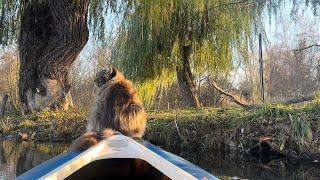 Louis is Kayaking in sunshine ️The video is from today 