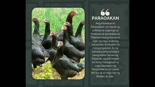 PHILIPPINE NATIVE CHICKEN BREEDS ORIGINAL PHILIPPINE NATIVE CHICKENS