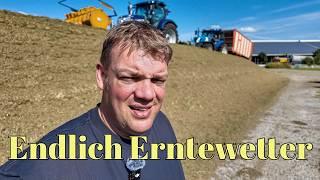 Farm-Vlog #31 Pünktlich zur langersehnten Grasernte kommt der Chef zurück