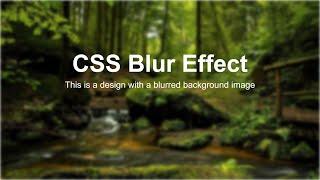How to Blur Background Image in HTML | CSS Blur Background