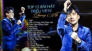 Top 15 Ca Khúc Từng Làm Mưa Làm Gió Các Bảng Xếp Hạng Âm Nhạc - Playlist Quang Hà