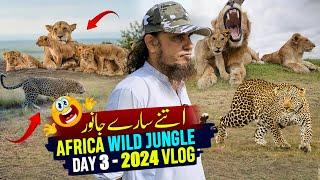 Sher Or Hiran Ki Bhaag Dor - Africa wild Jungle - Mufti Tariq Masood Vlog