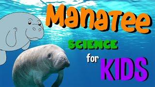 Manatee | Science for Kids