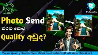 How to Send High-Quality Photo on What's app | What's app එකෙන් quality Photos Send කරමු.