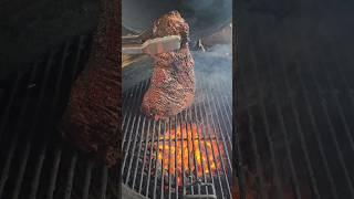 SRF Wagyu Tri Tip #steak #grill #grilling #steaks #meat #food