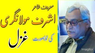 Ashraf MoulaNagri || Beautiful Urdu Ghazal || Sureeley LoG