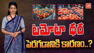 Tomato Price Hike | Reason Behind Tomato Price Hike | Crop Loss | Monsoon Season | YOYO TV Channel