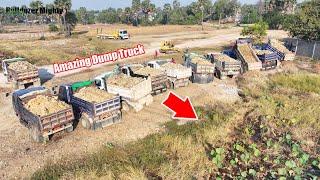 The Best Dump Truck Unloading, Filling Up The Land huge, Bulldozer KOMATSU D31PX Push Soil & Stone