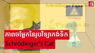 រូបវិទ្យាកង់ទិក៖ អនុគមន៍រលកកង់ទិក និង Schrödinger's Cat