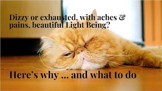 Starseeds  Lightworker  Channeling: Why You're Feeling So Tired!