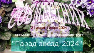 Совместная выставка узамбарских фиалок московских групп в Доме Фиалки "Парад звёзд-2024"