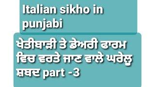 italian sikho in punjabi agriculture and  dairy farm vich warte jan wale shabad part 3