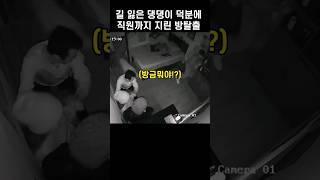 좁고 깜깜한 방에 댕댕이가 들이닥치면 벌어지는 일