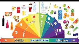 Acidic Foods vs. Alkaline Foods