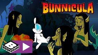 Bunnicula | Helping The Pirates | Boomerang UK 