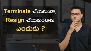 Termination Vs Resignation | Why companies want their employees to resign  #softwarejobstelugu