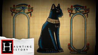 The History Of Black Cats